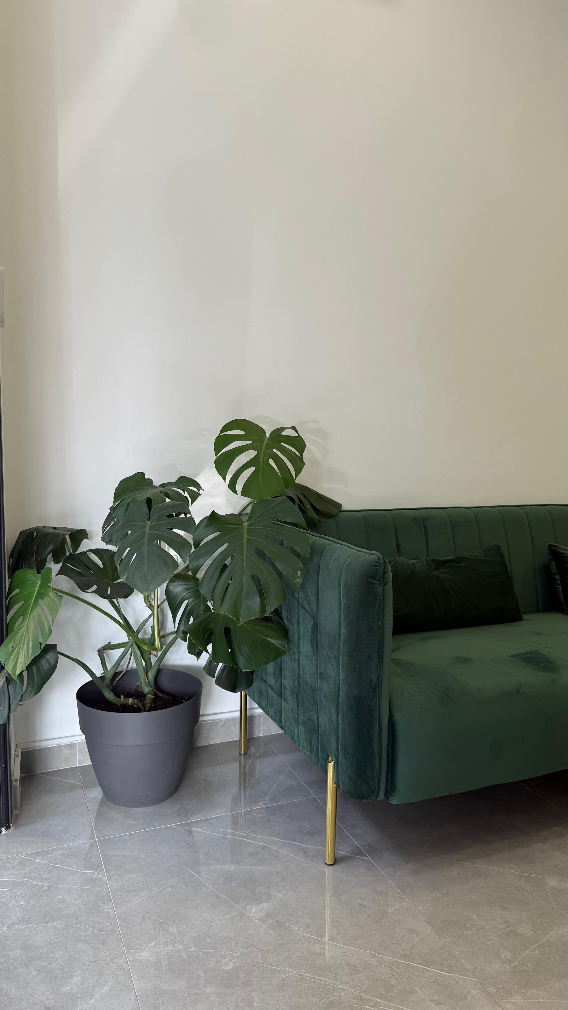 Kaiser Derma Clinic — reception seating